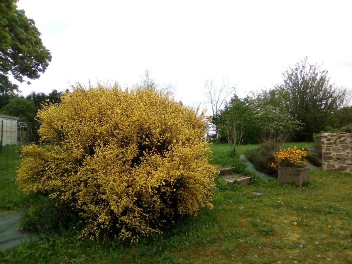 La Ferme De La Baconnerie Villa Sainte-Marguerite-d'Elle Kültér fotó